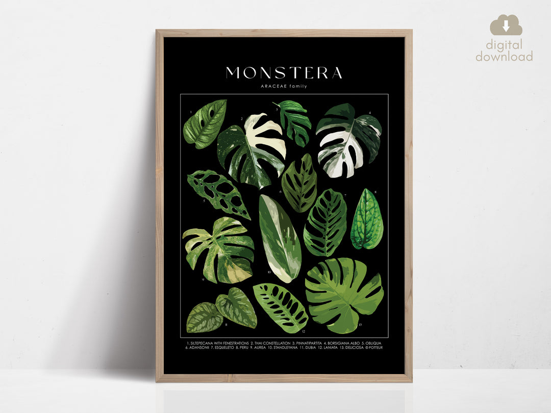 monstera species poster with names MONSTERA - Art Print