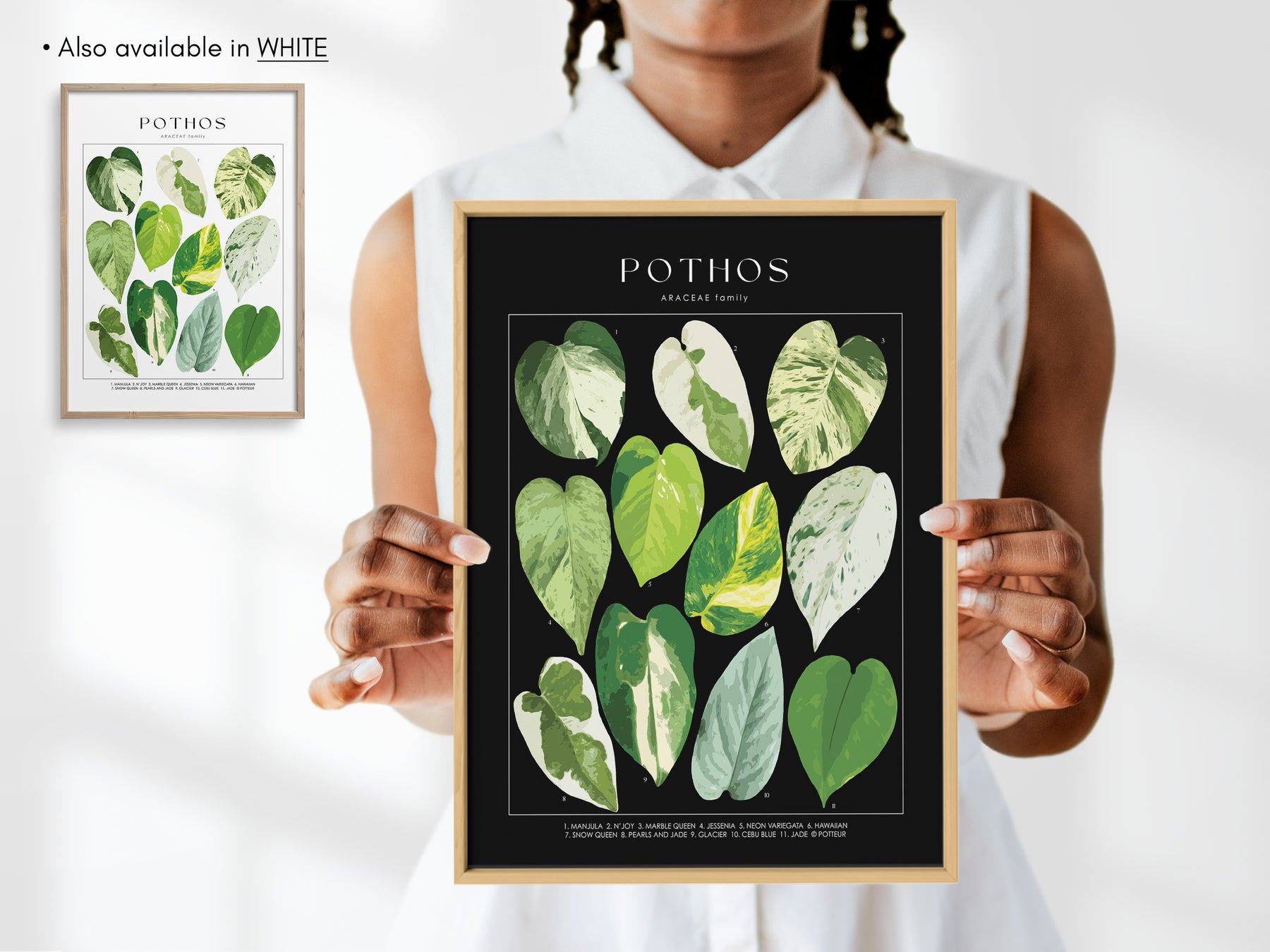 pothos poster POTHOS - Art Print