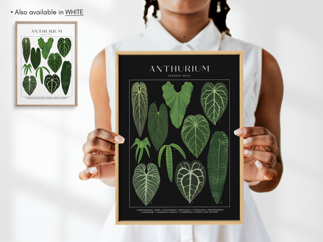 ANTHURIUM - Art Print