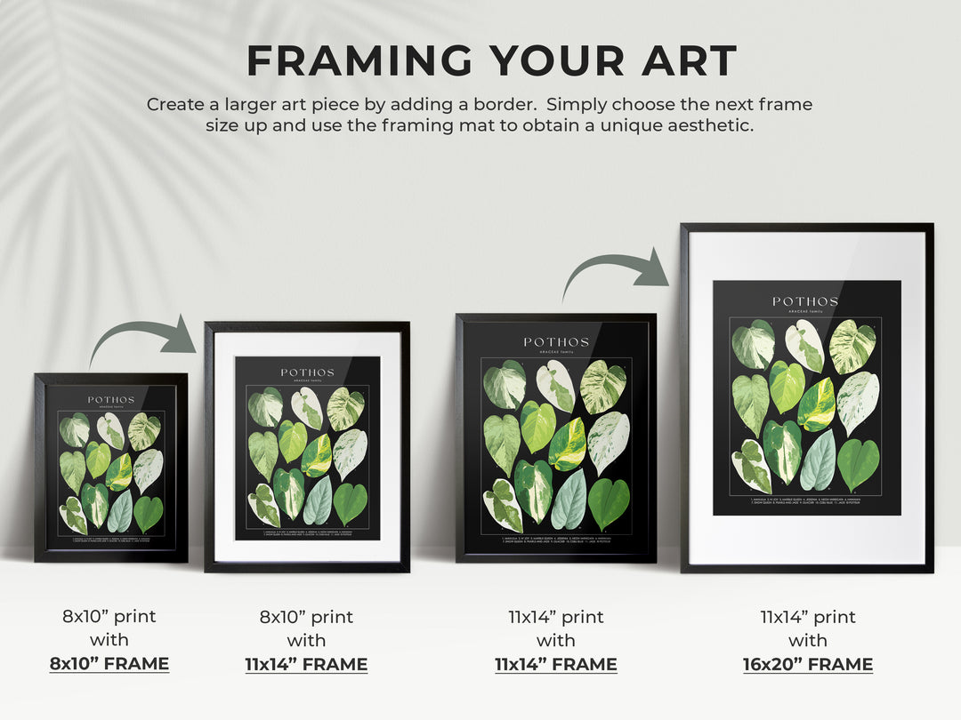 pothos wall art POTHOS - Art Print
