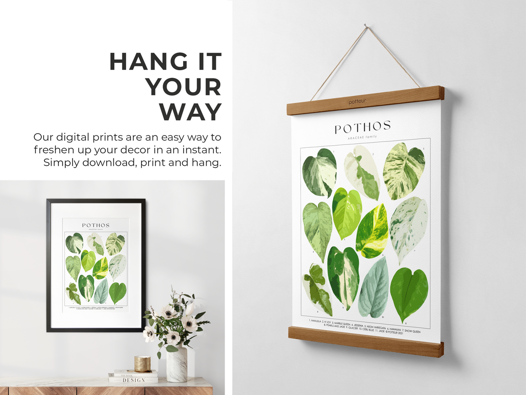 pothos print POTHOS