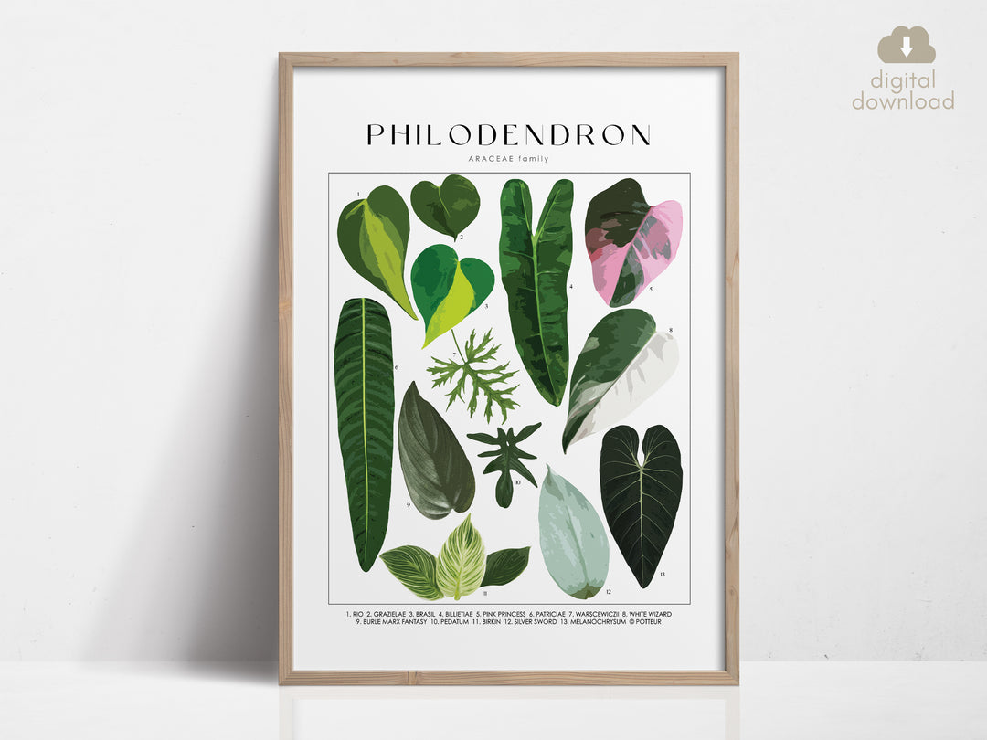philodendron print PHILODENDRON