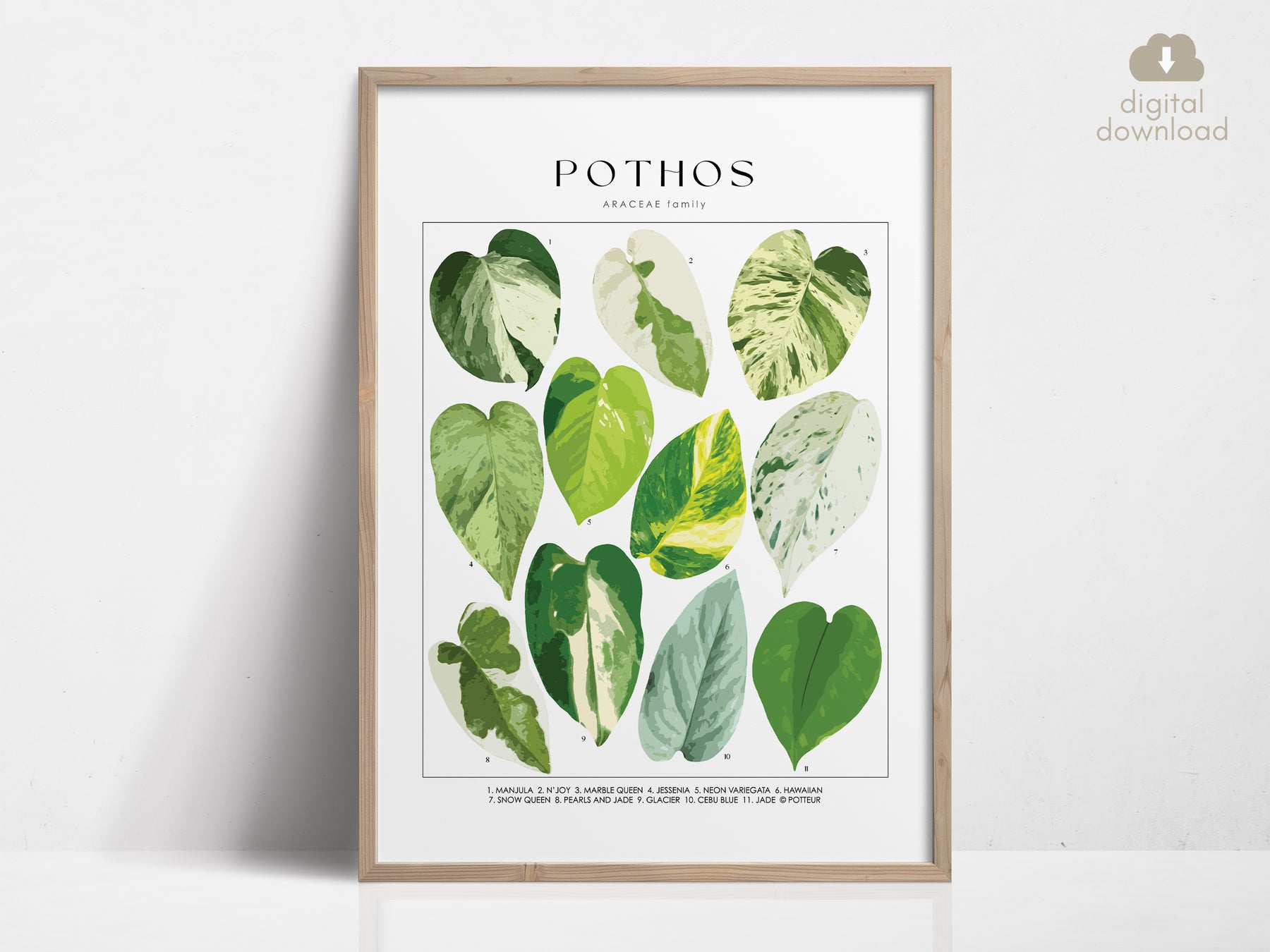 pothos print POTHOS